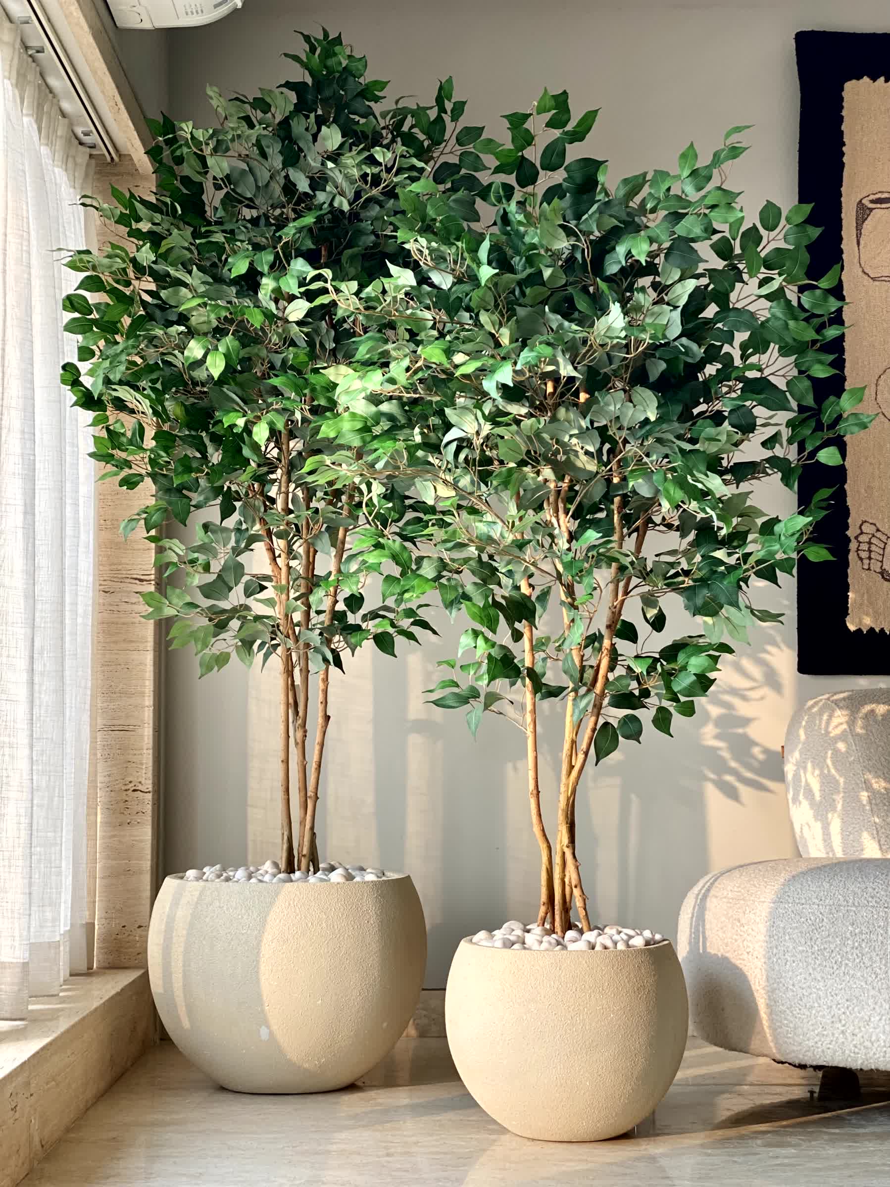 Artificial Aurora Ficus Plant - 7 Feet - Image 2