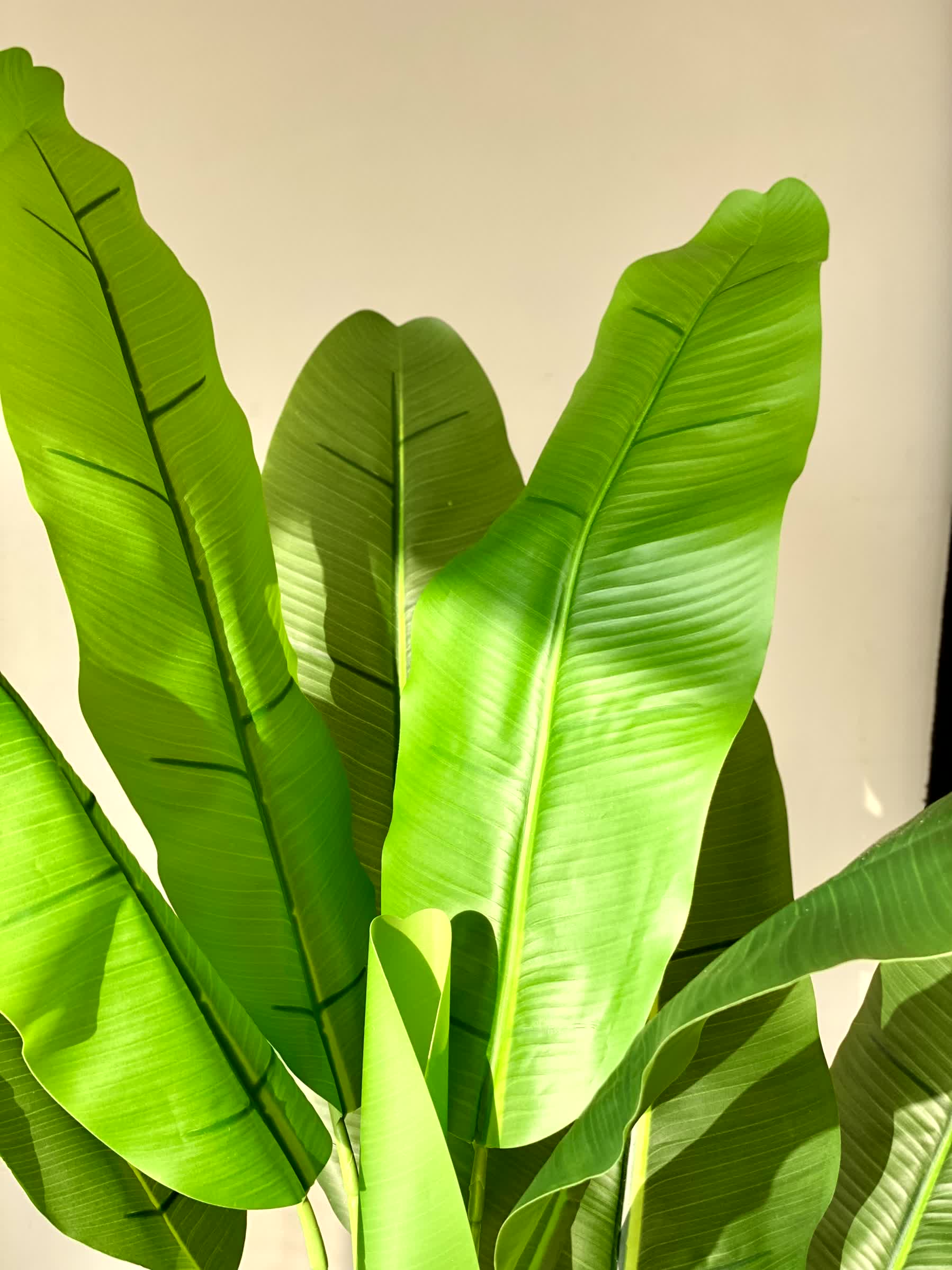Artificial Banana Palm Plant - 4 Feet - Image 6