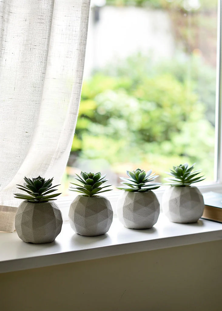 Artificial Beige & Grey Duo Succulent - Set of 4 - Image 5