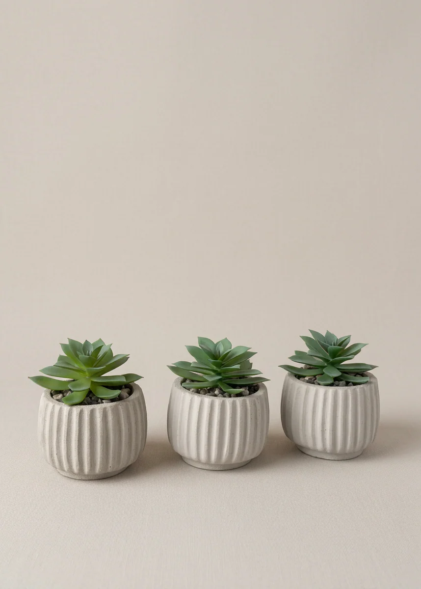 Artificial Beige Succulent - Set of 3 - Image 3