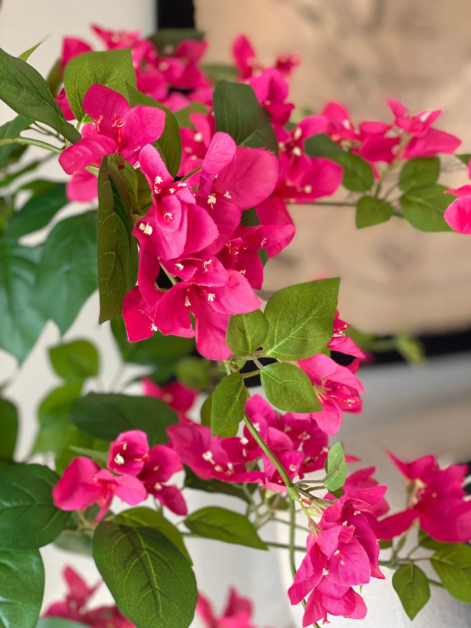 Artificial Cerise Bougainvillea Plant -  5 Feet - Image 2