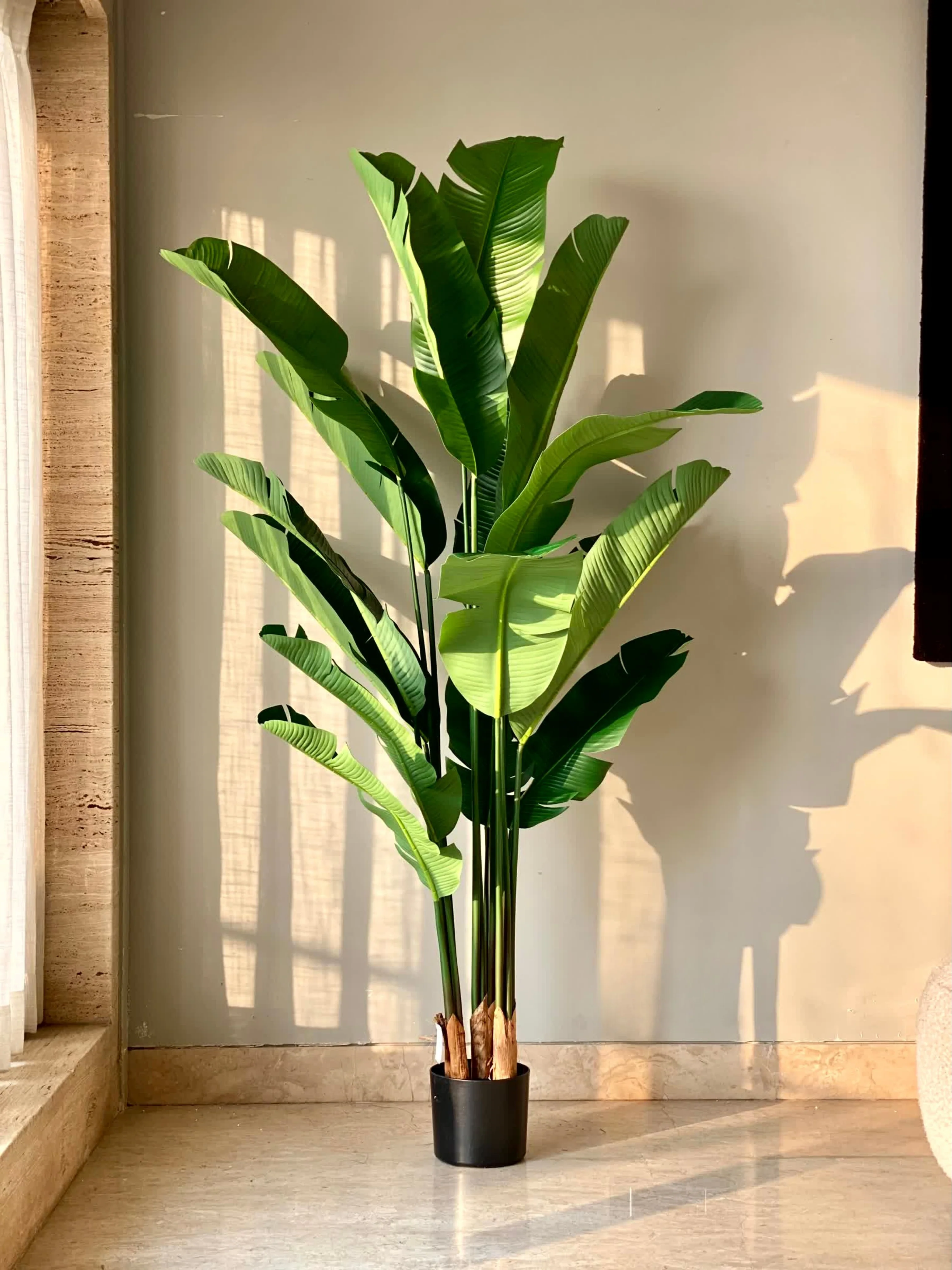 Artificial Coastal Palm Plant - 6 Feet - Image 6