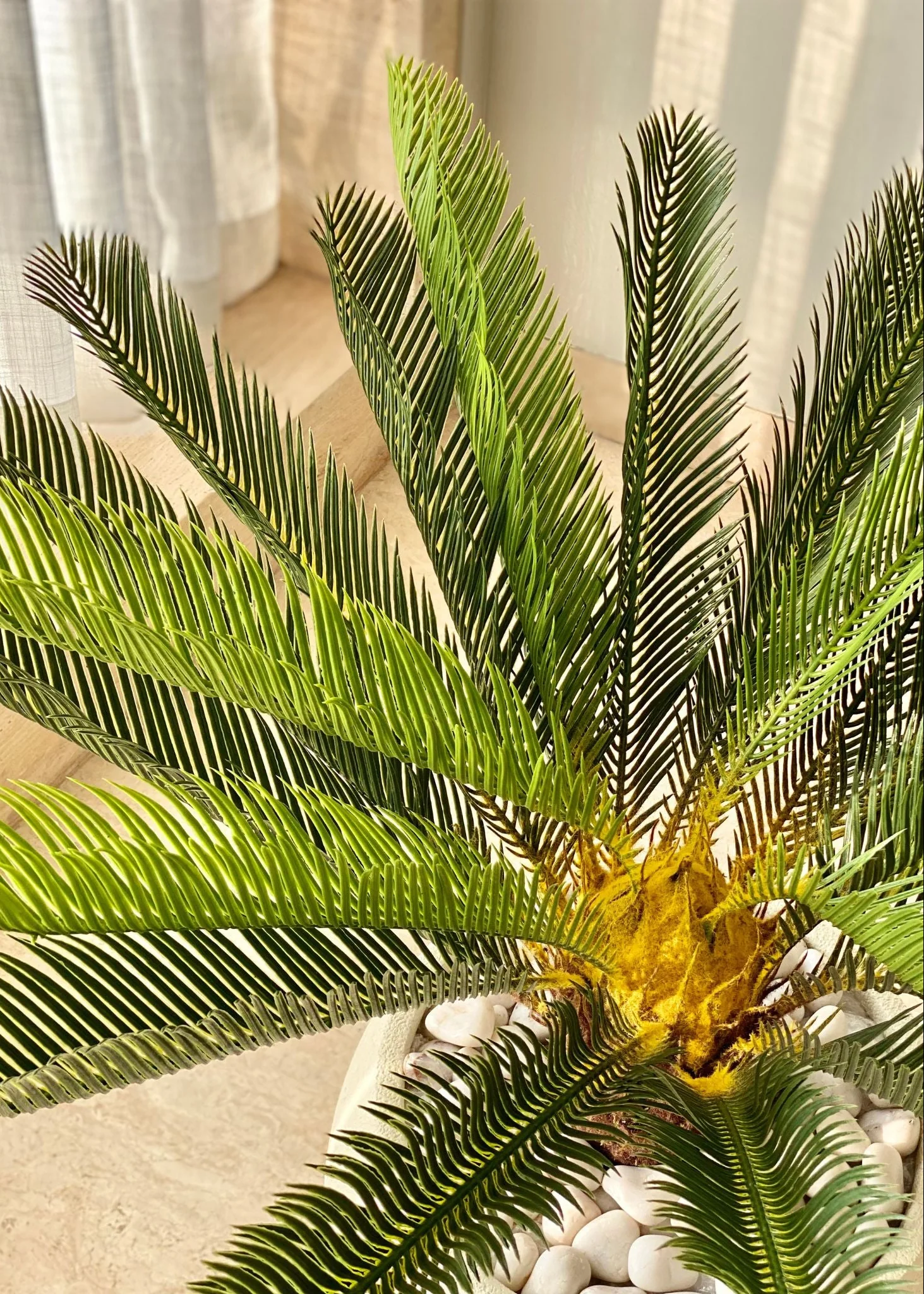 Artificial Cycas Plant - 2.5 Feet - Image 4