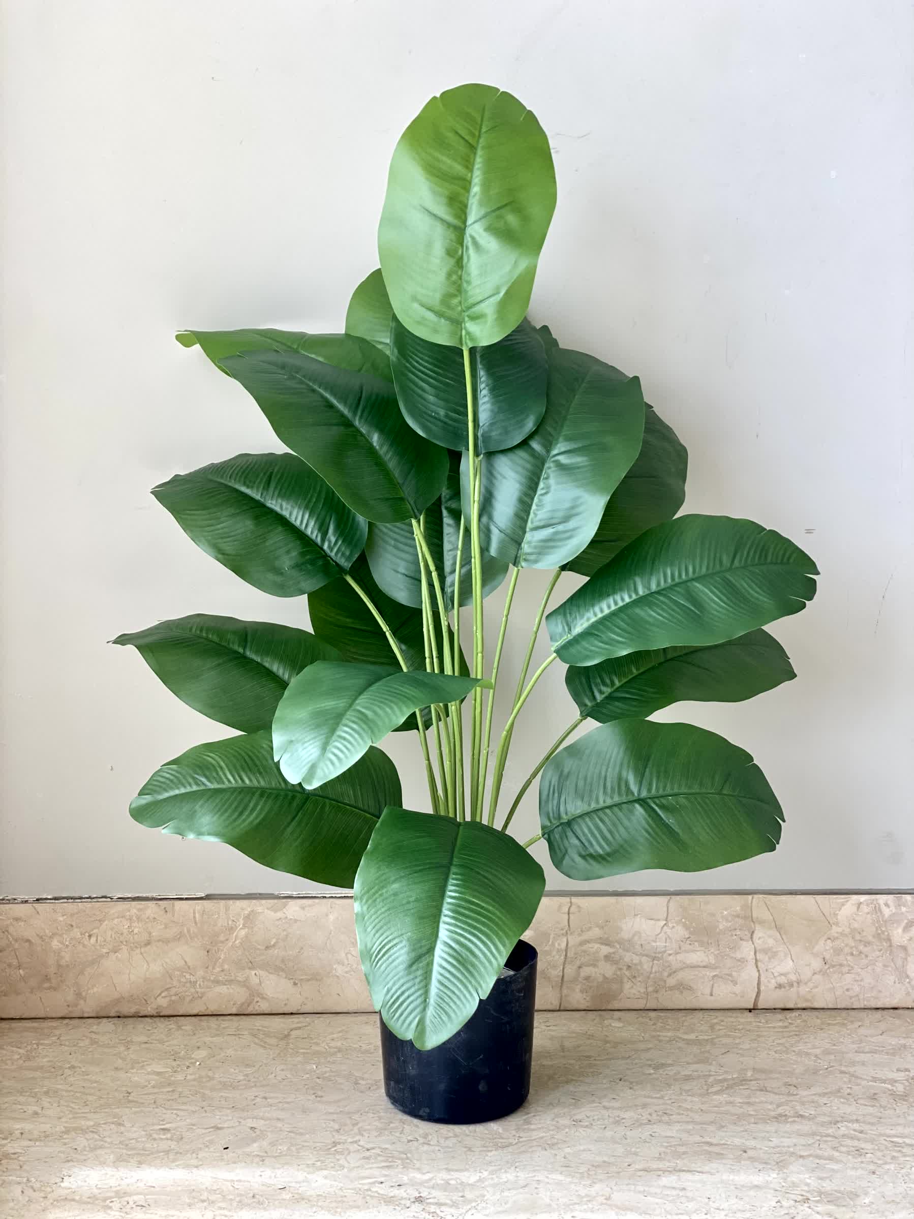 Artificial Evergreen Banana Plant - 2 Feet - Image 4
