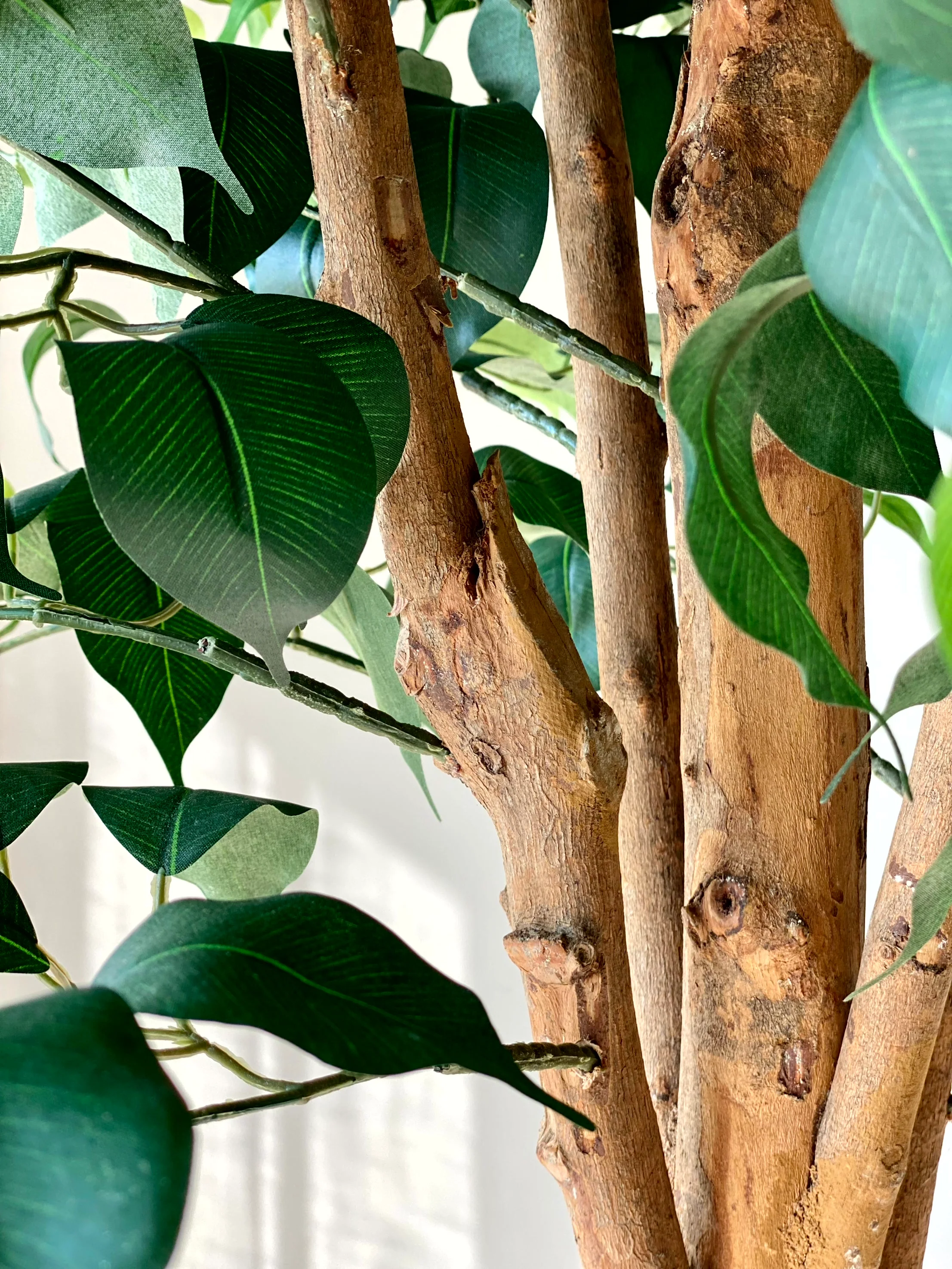 Artificial Grand Ficus Plant - 7.5 Feet - Image 3