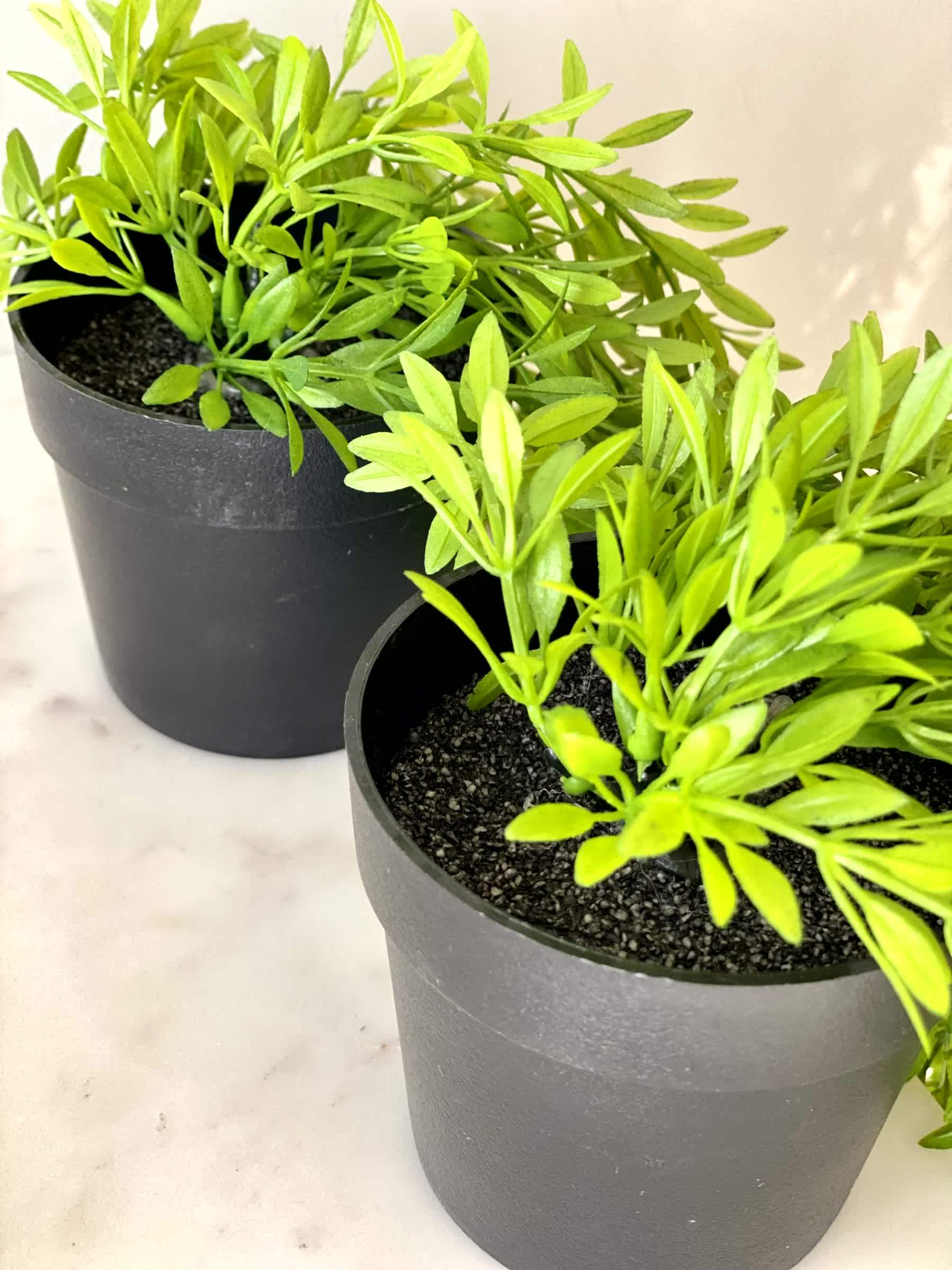 Artificial Grass Vine - (Set of 2) - Image 8