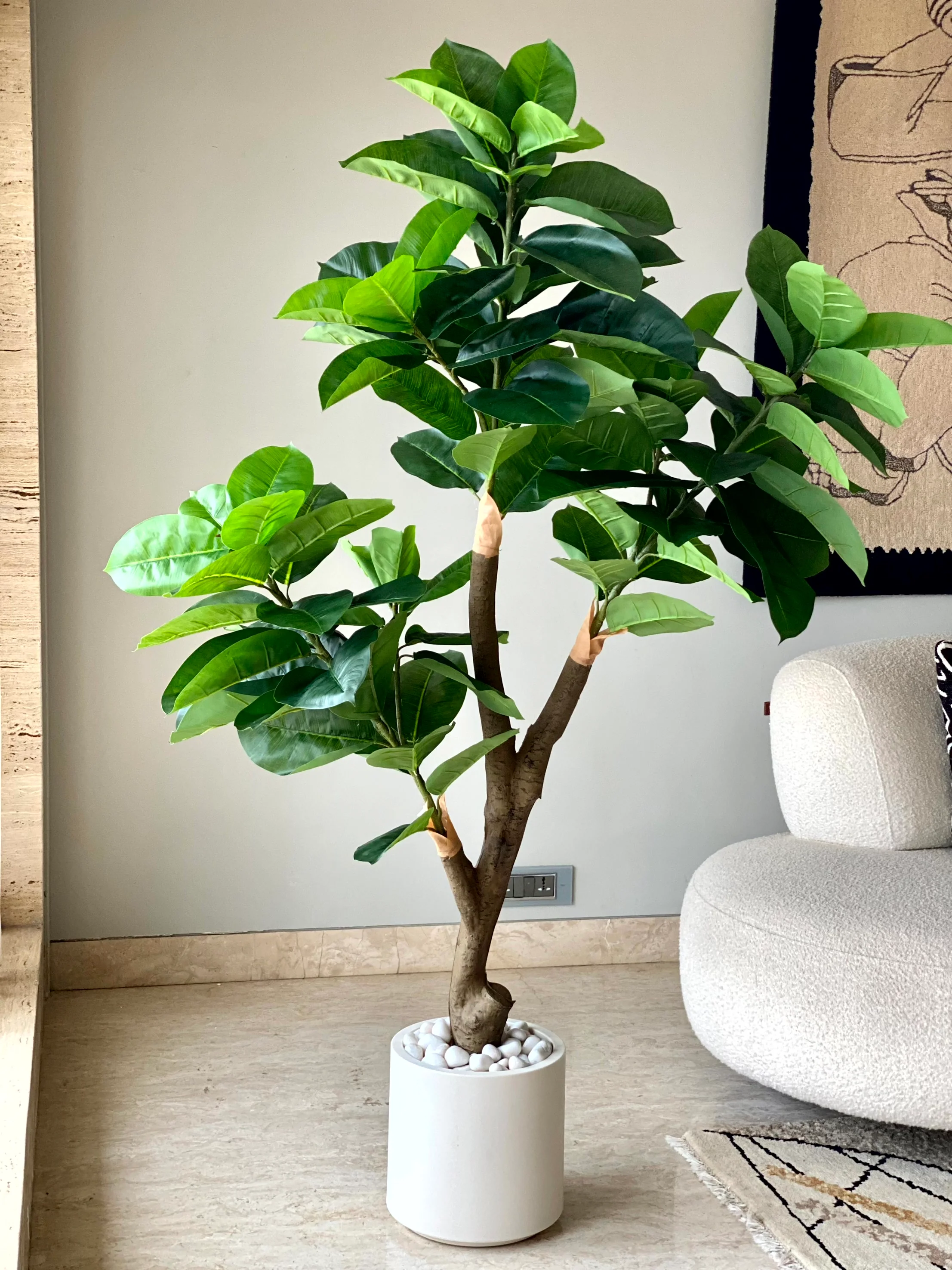 Artificial Green Rubber Plant - 5.5 Feet - Image 3
