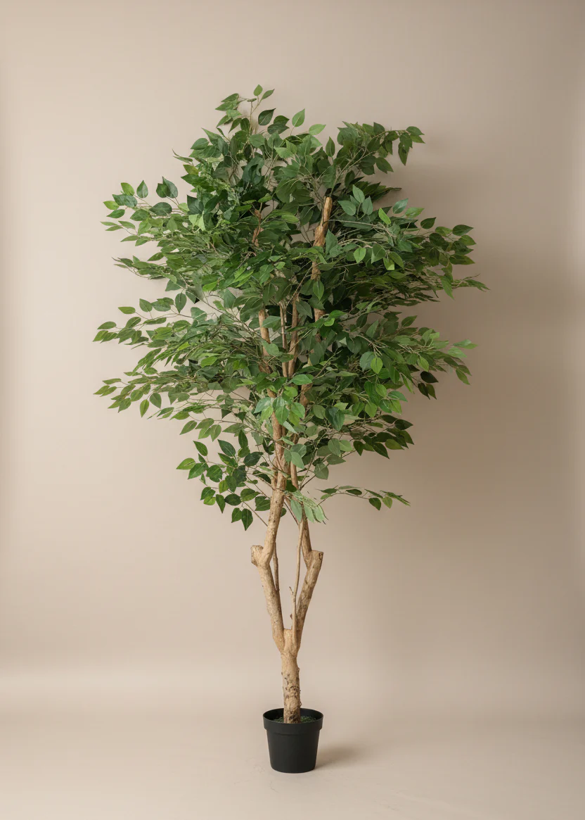 Artificial Grove Ficus Plant - 7 Feet - Image 3