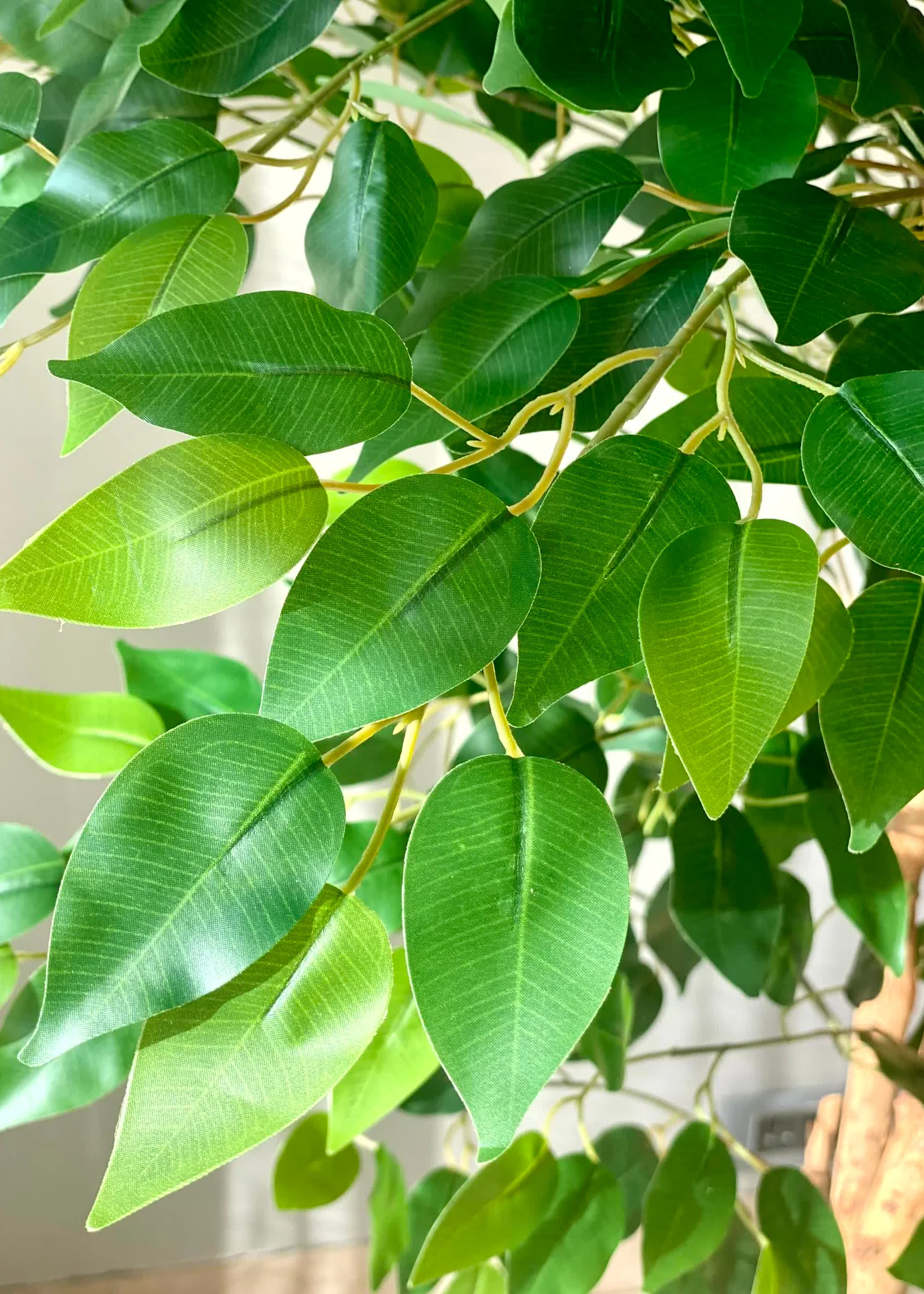 Artificial Grove Ficus Plant - 7 Feet - Image 7