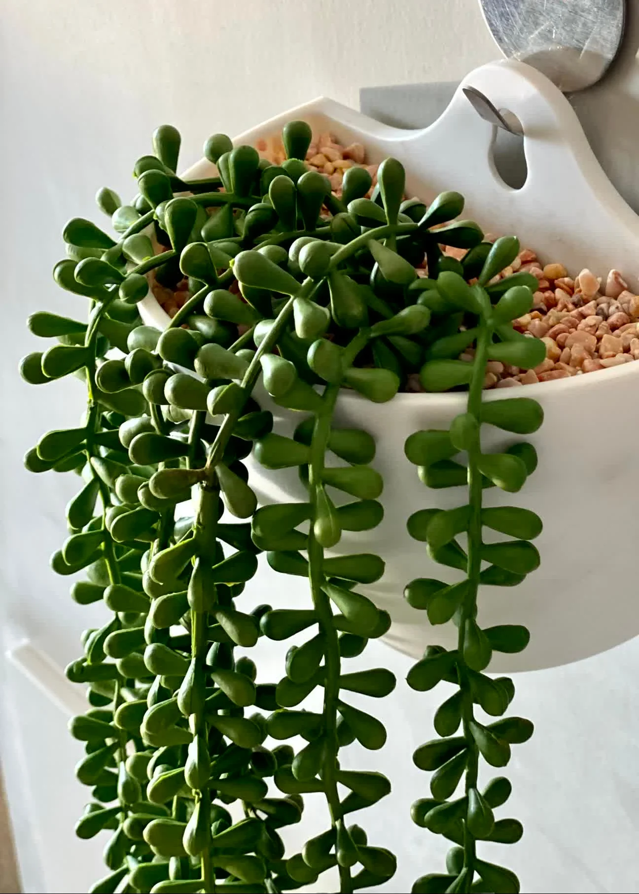 Artificial Hanging Creeper - Image 6