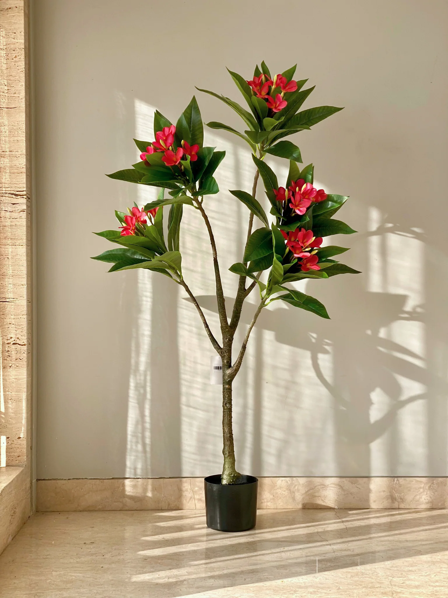 Artificial Frangipani Puce Plant - 4.5 Feet - Image 5