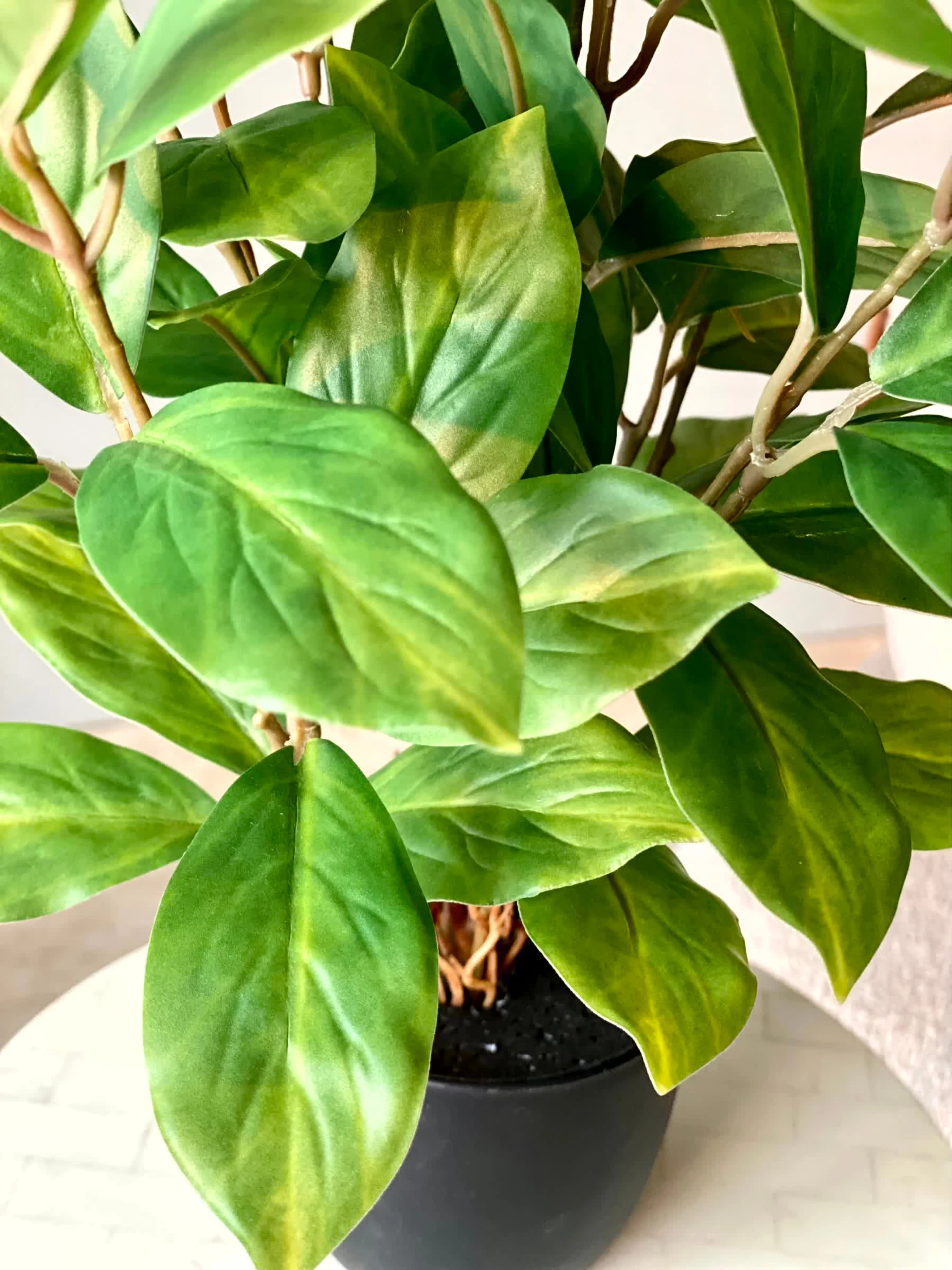 Artificial Jade Evergreen Plant - Image 7