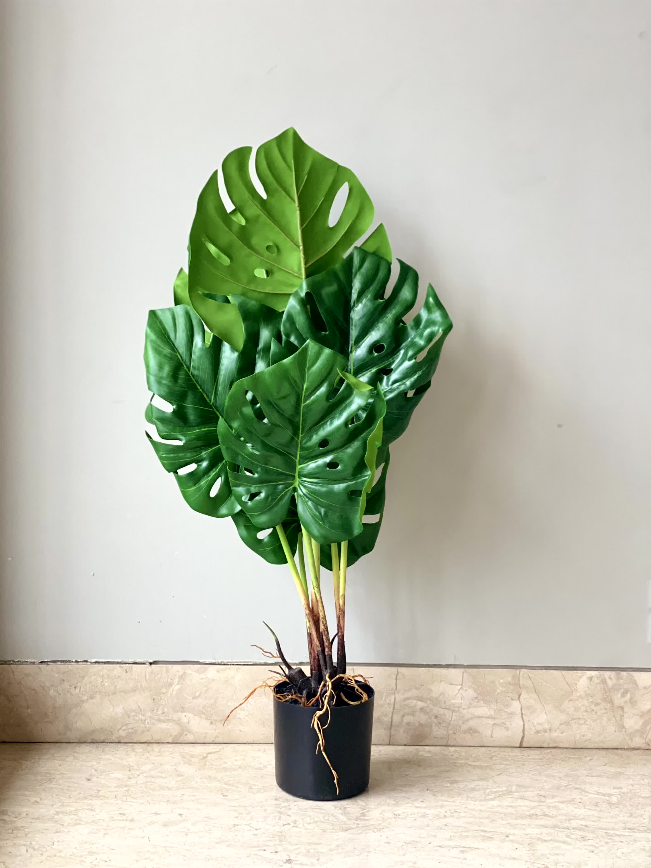 Artificial Lush Monstera Plant - 2.2 Feet - Image 6