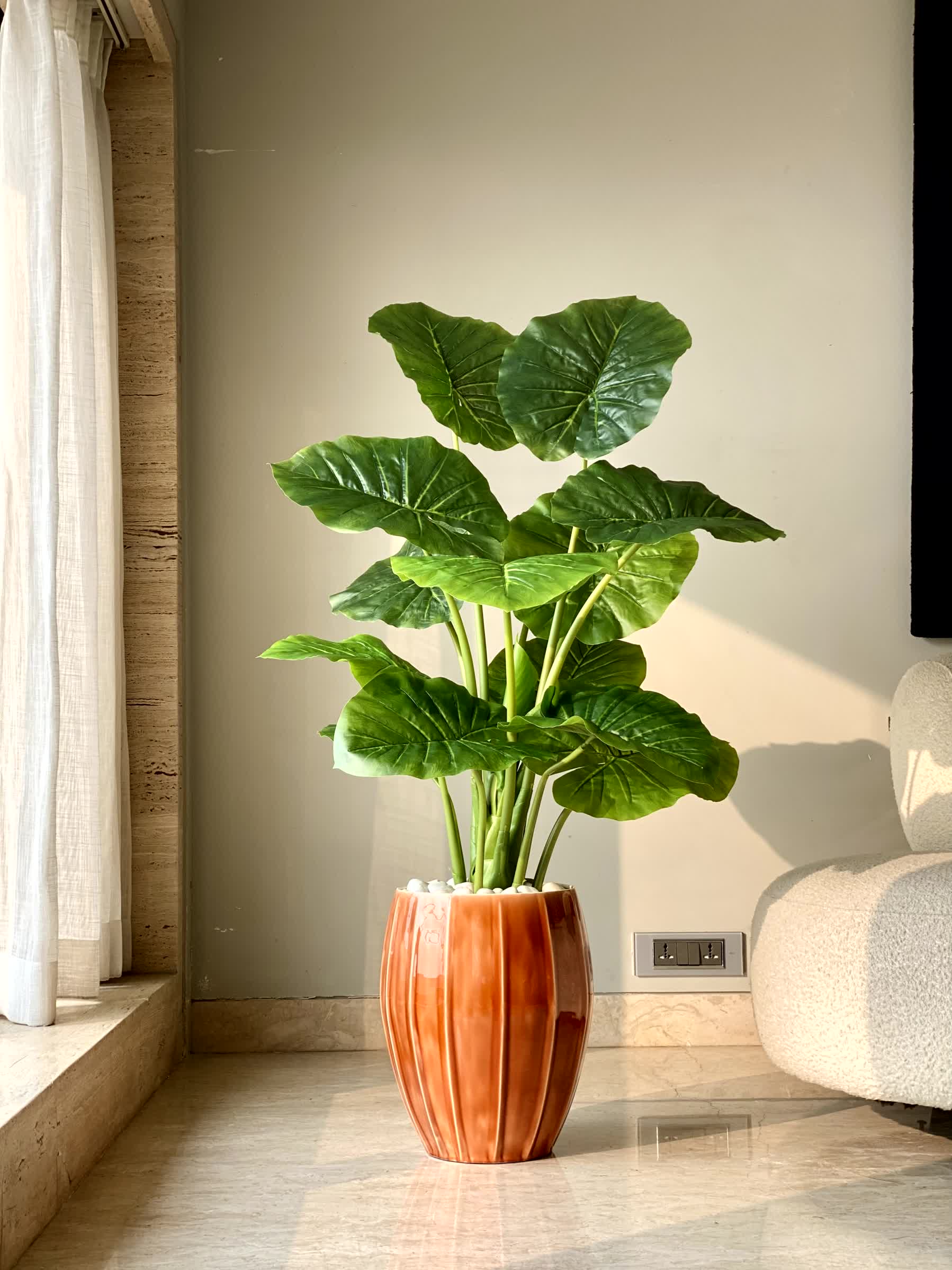 Artificial Midas Alocasia Plant - 4 Feet