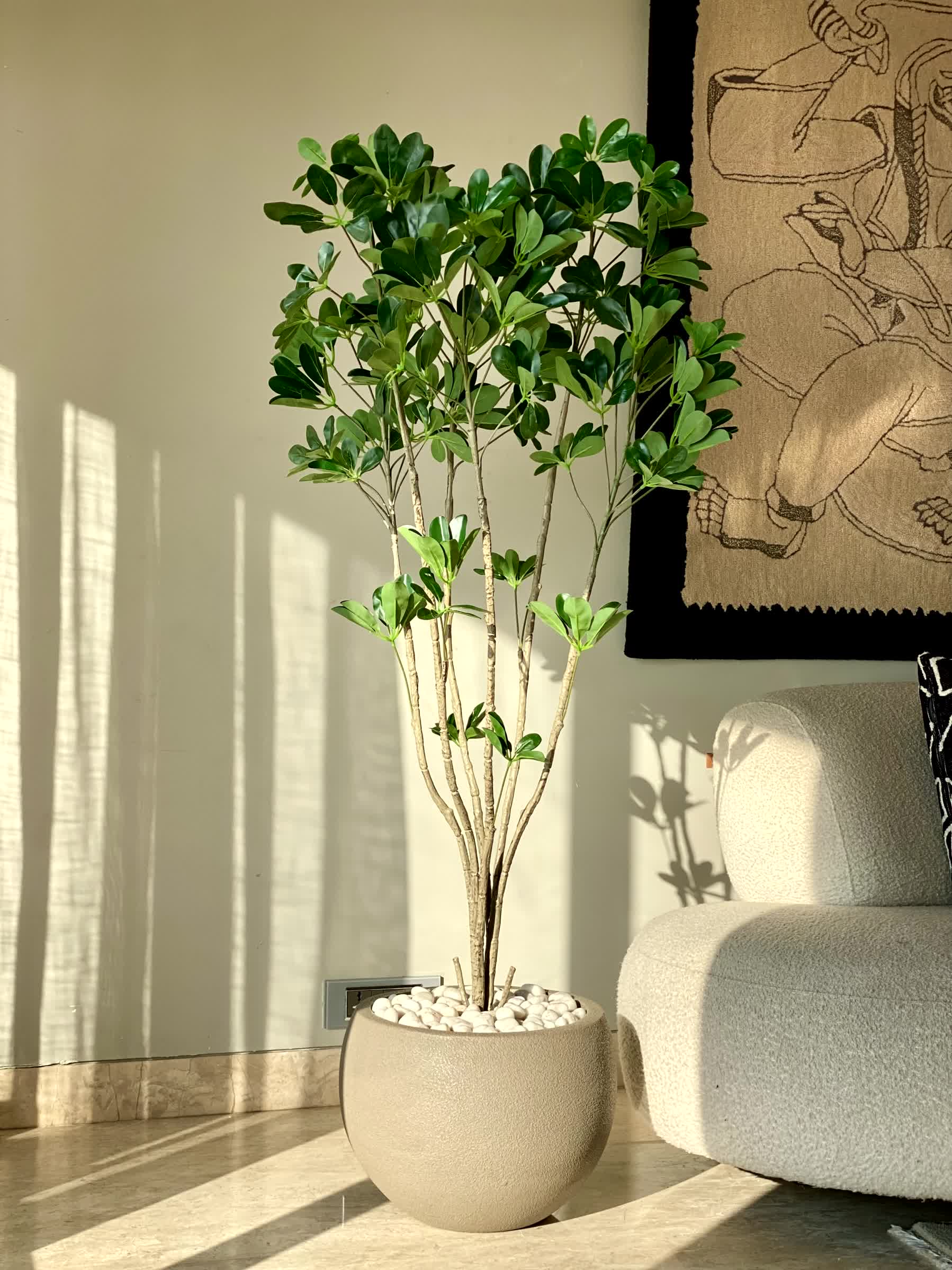 Artificial Multistem Schefflera Plant - 5 Feet - Image 3
