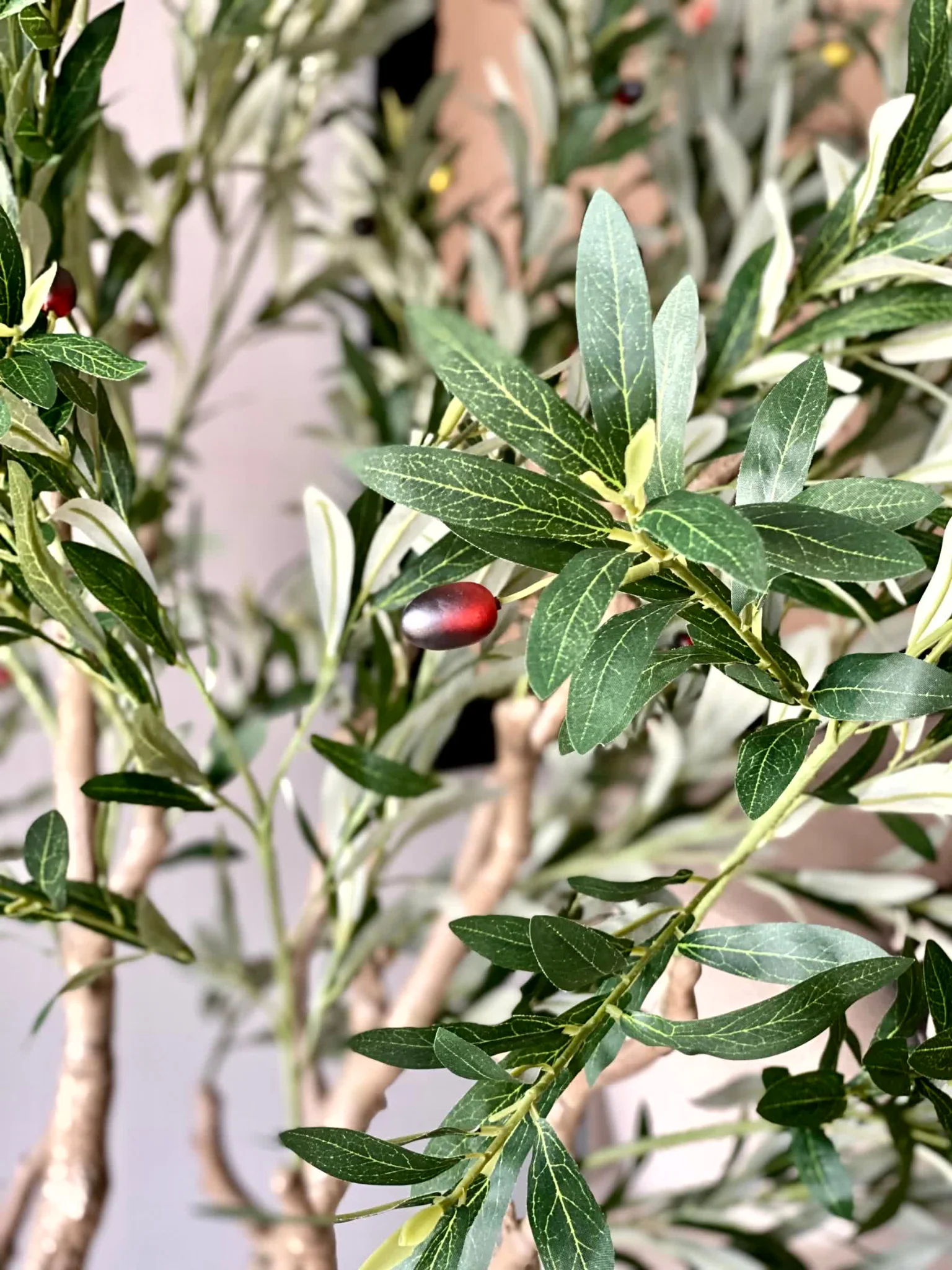 Artificial Olive Allure Plant -  6 Feet - Image 2