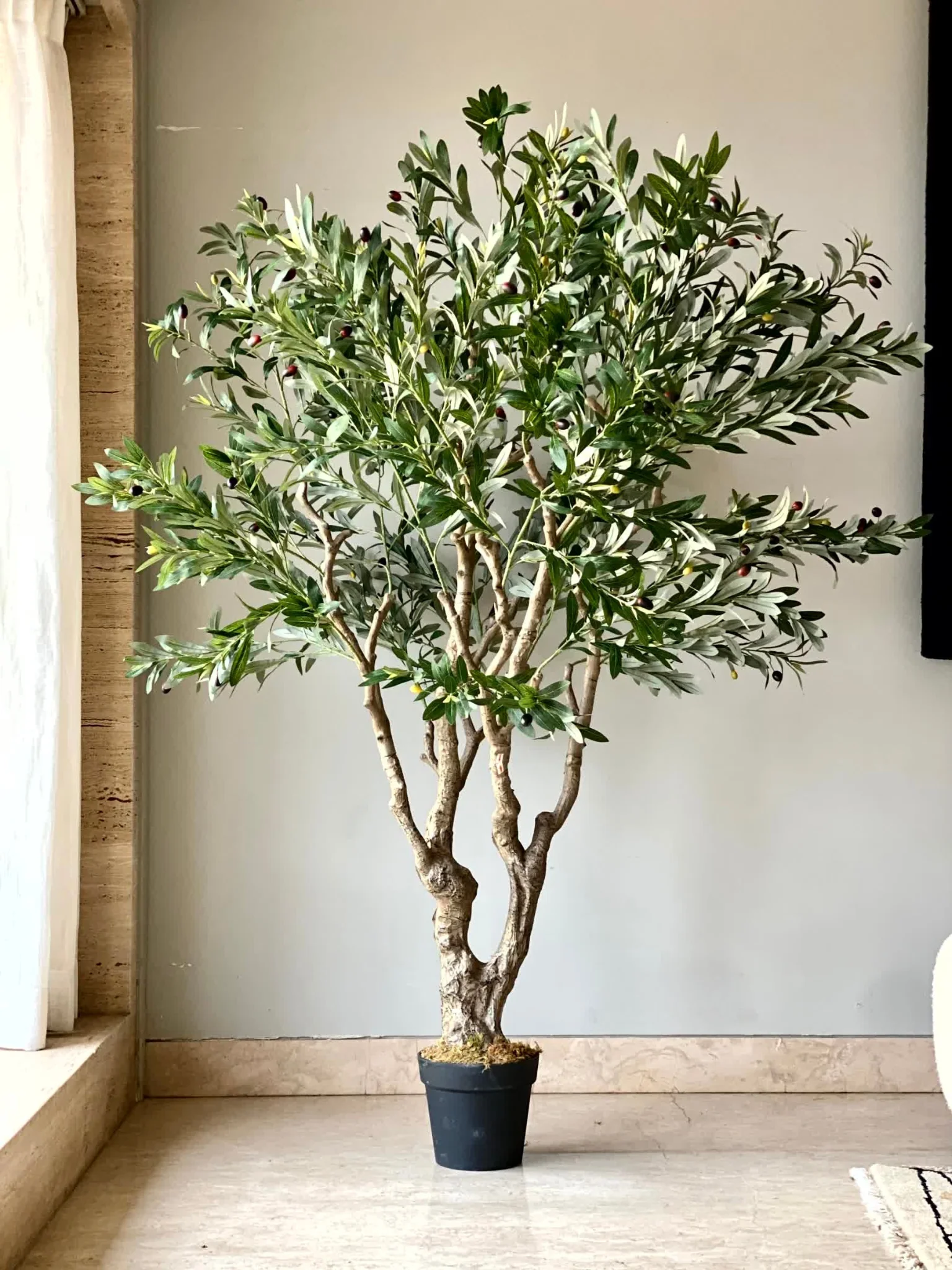 Artificial Olive Allure Plant -  6 Feet - Image 4