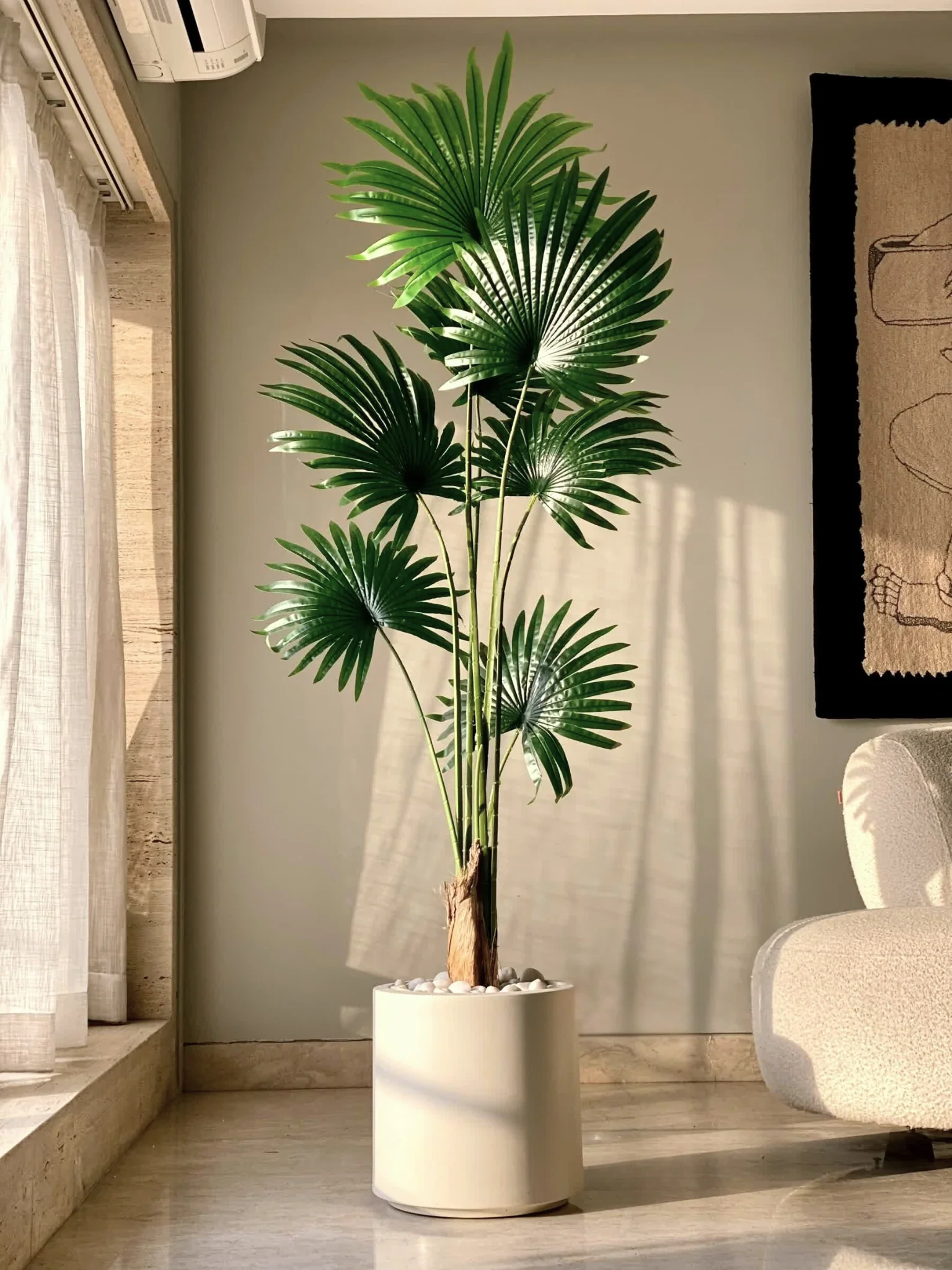 Tall Plants