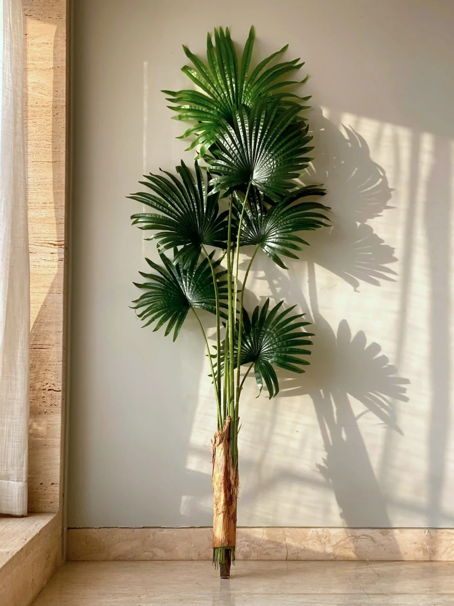 Artificial Palmetto Plant - 6 Feet - Image 5