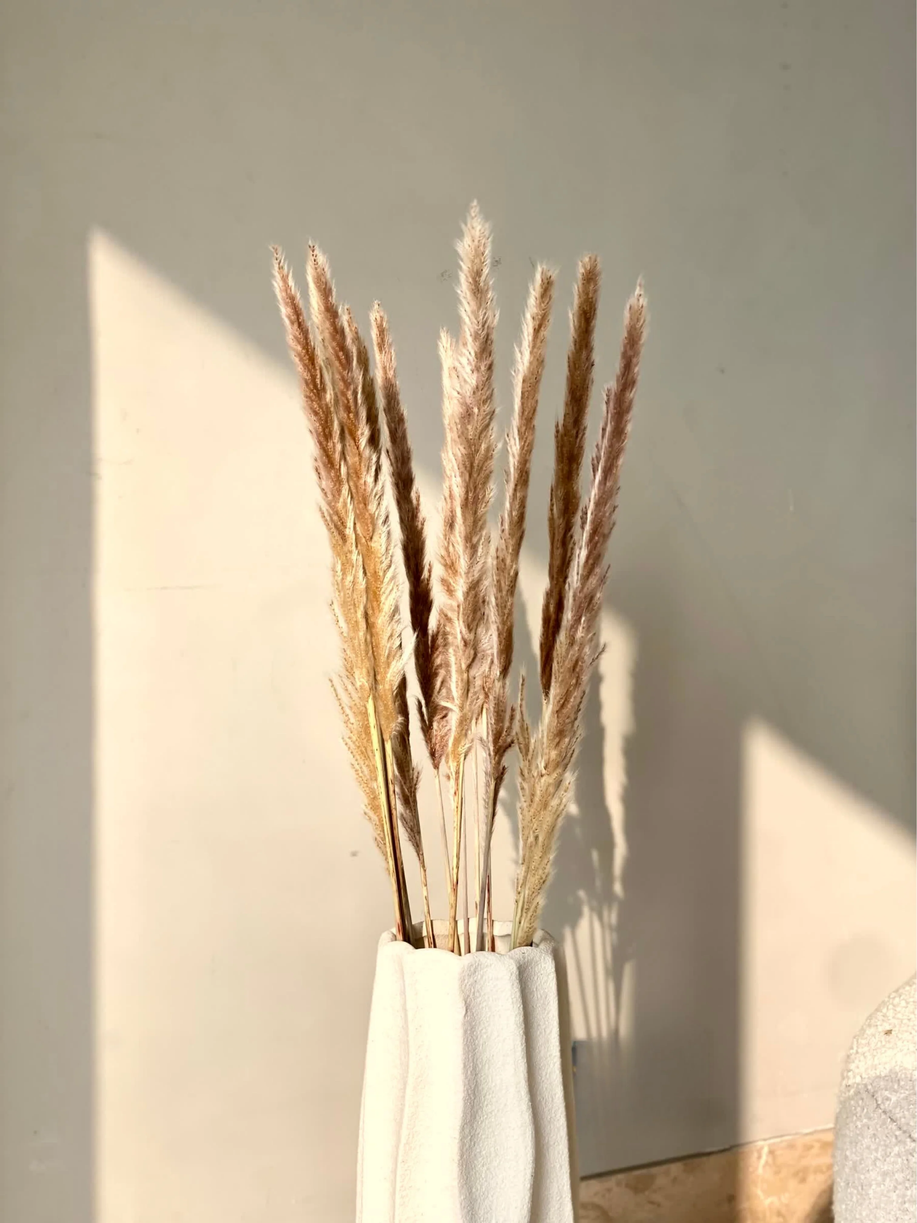 Artificial Pampas Stem - Set of 12 - Image 6
