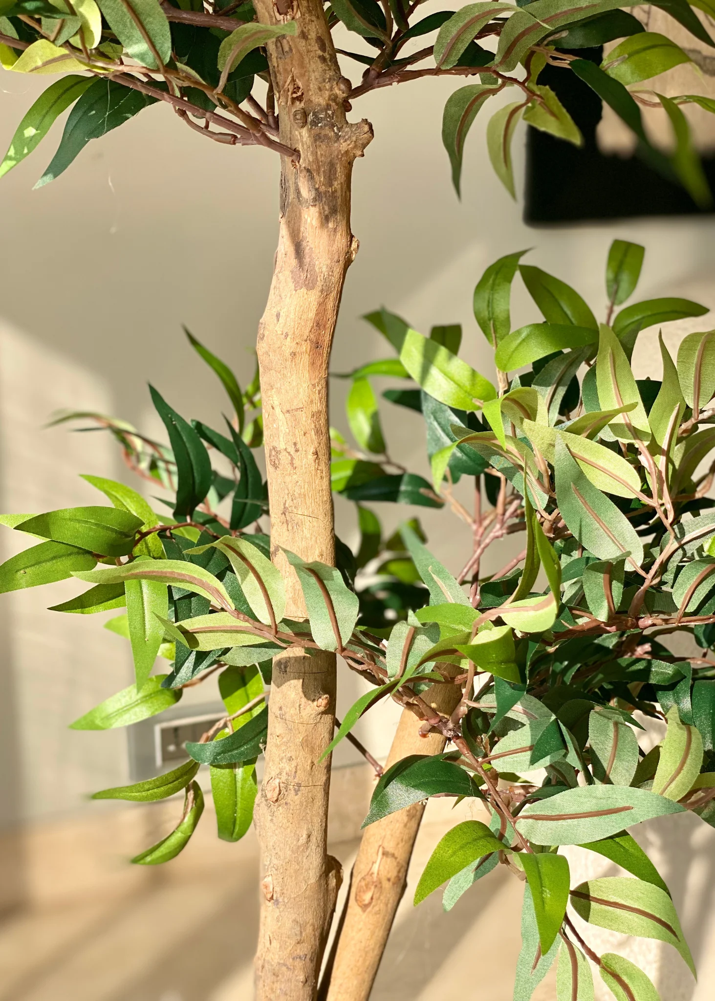 Artificial Ruscus Lush Plant - 4 Feet - Image 8