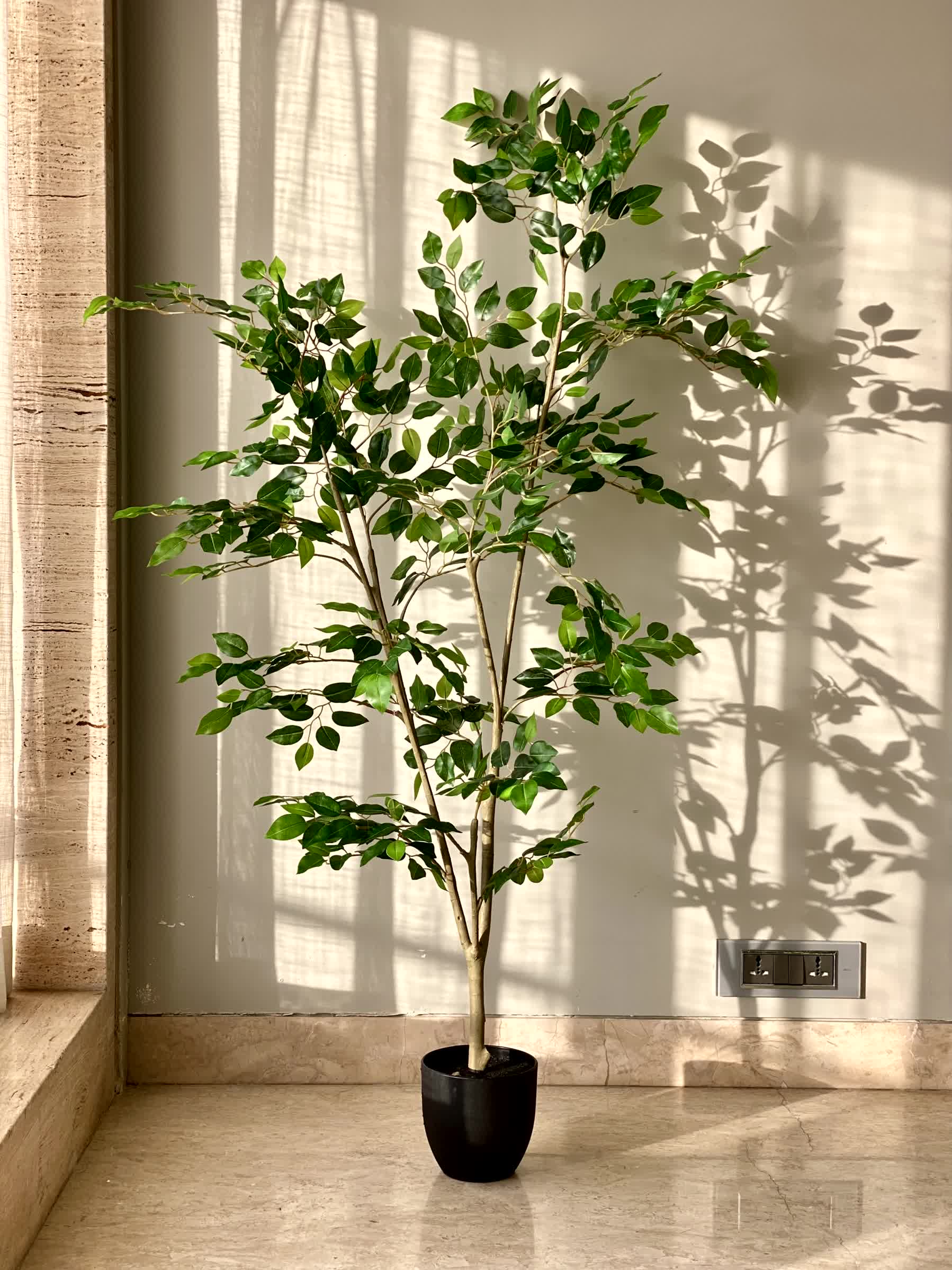 Artificial Savanah Ficus Plant - 5 Feet - Image 5