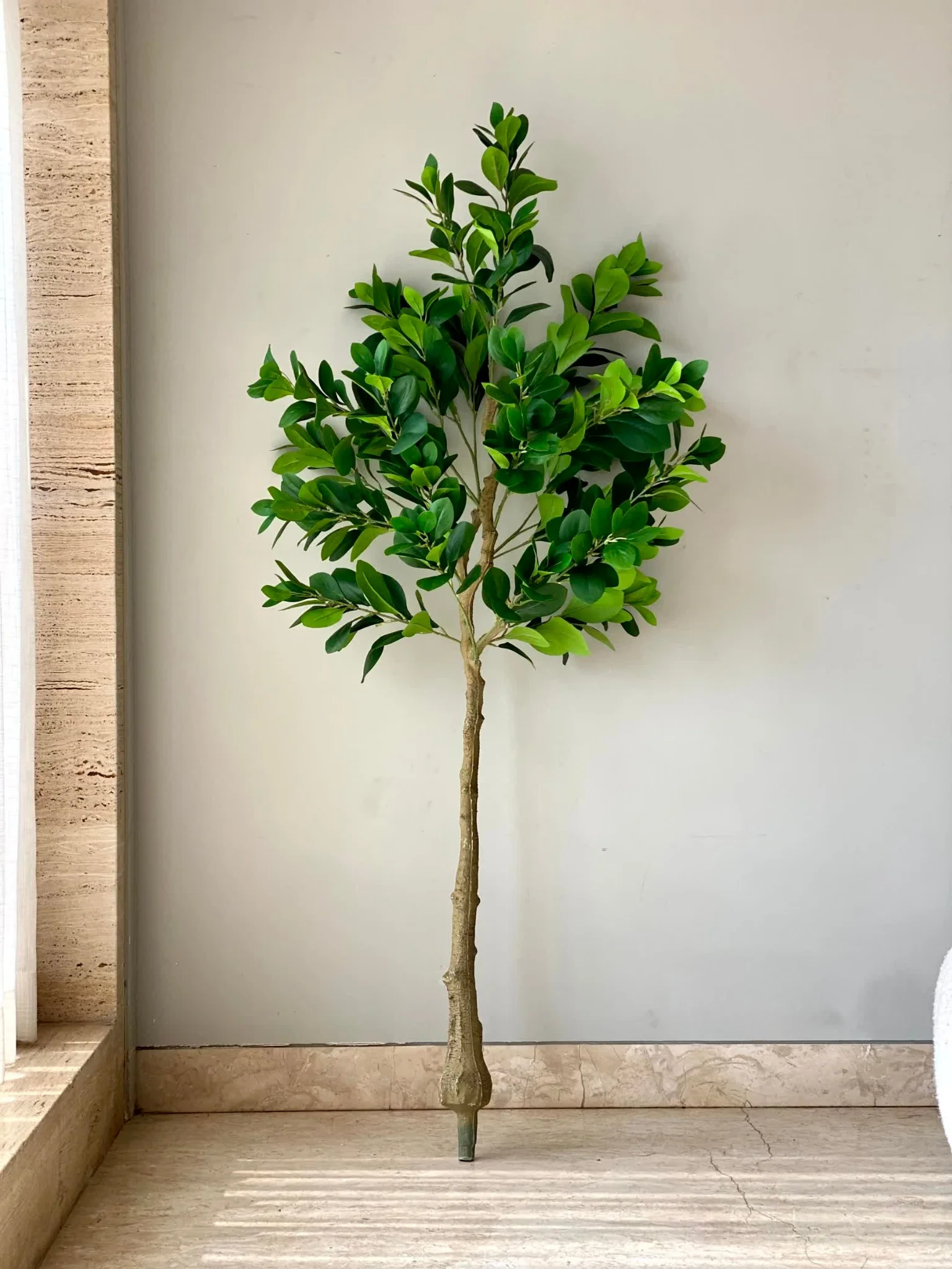 Artificial Serene Peperomia Plant - 5 Feet - Image 5