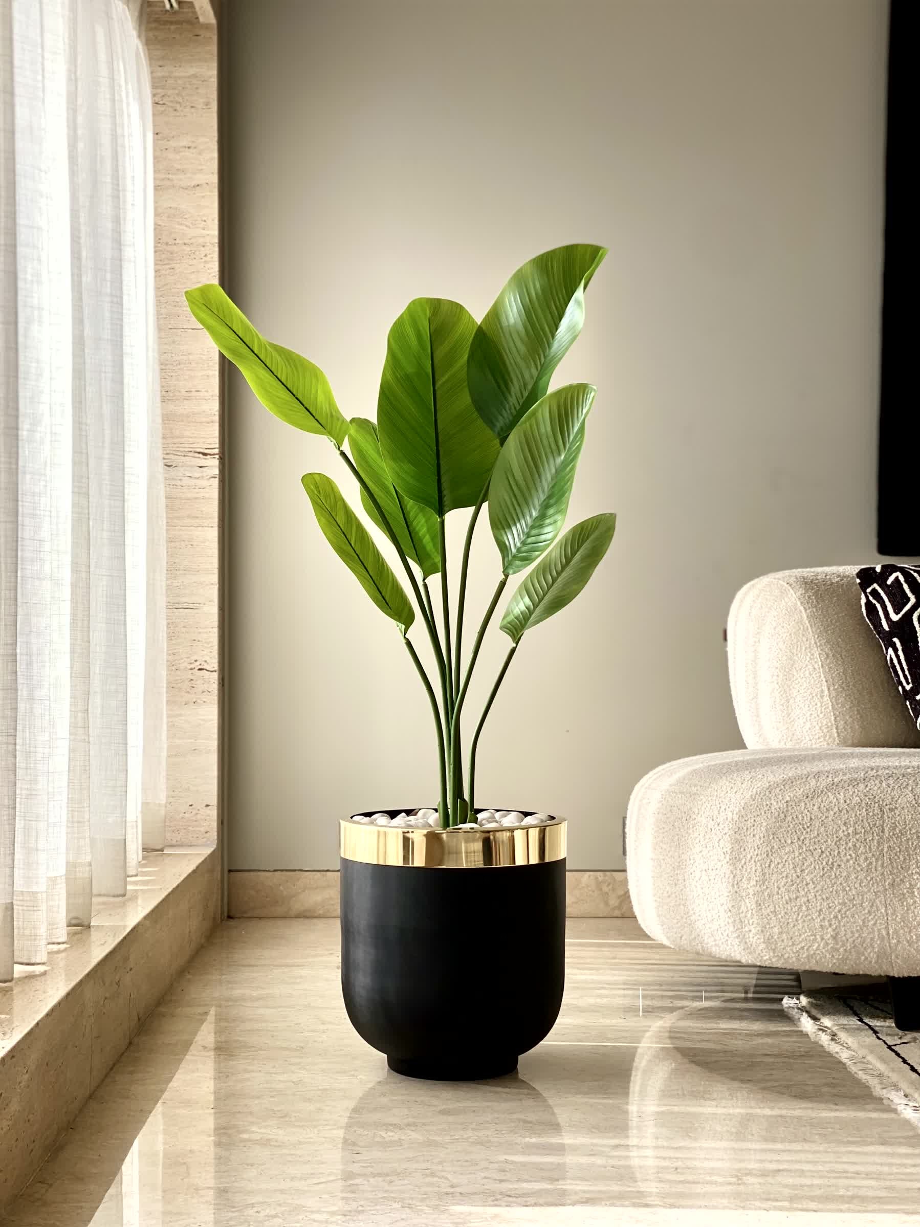 Minsk Planters - Black - Image 3