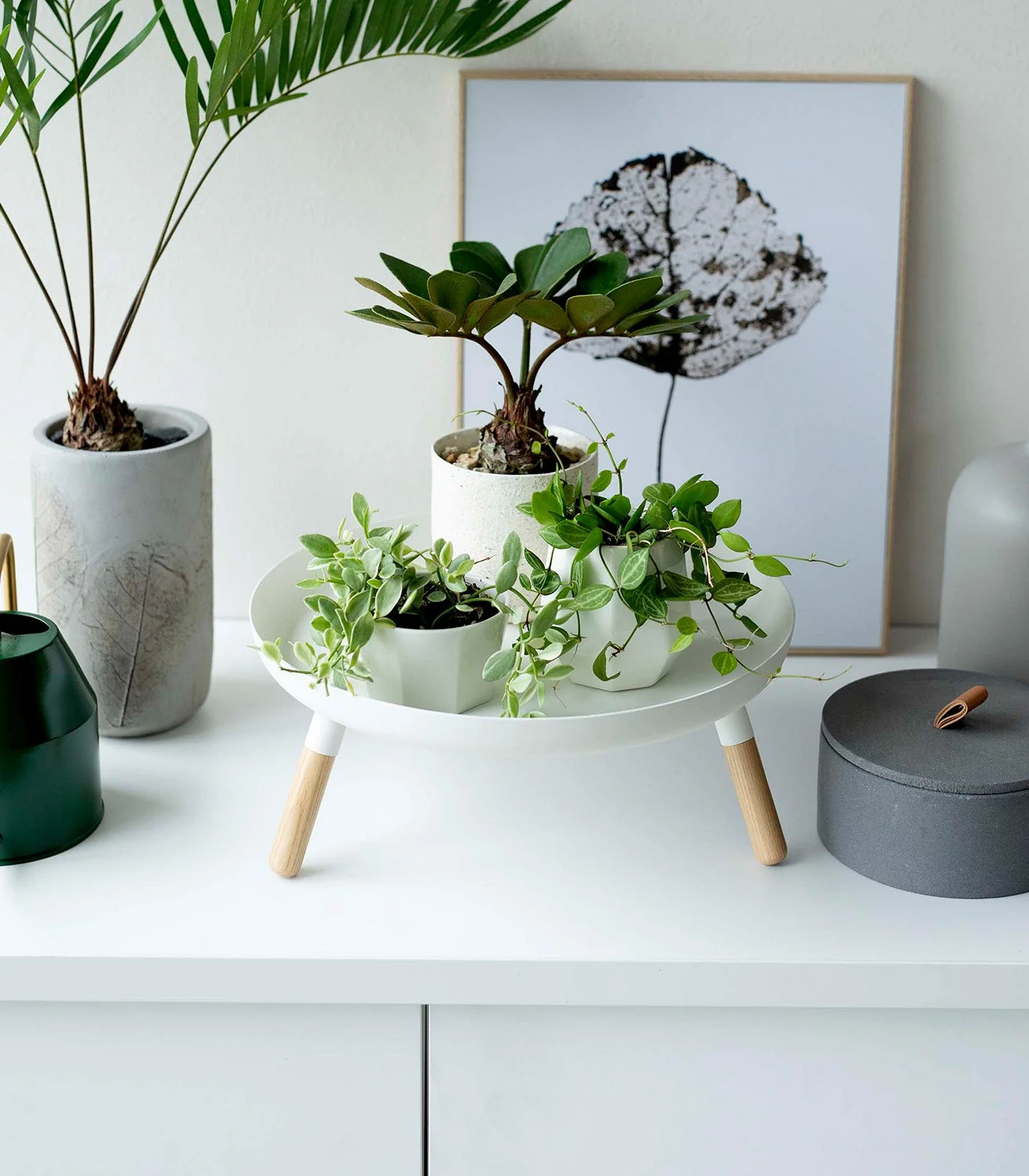 Countertop Pedestal Tray - Image 3